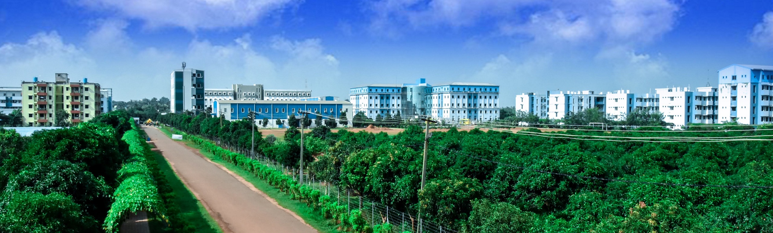 University campus event